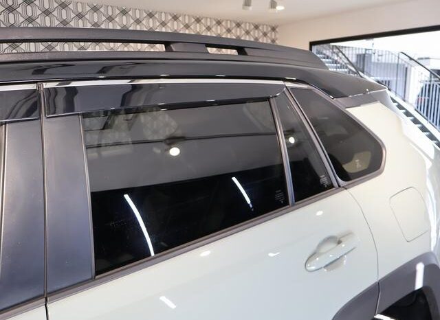 
								TOYOTA RAV4 2024 full									