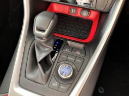 
										TOYOTA RAV4 2025 full									