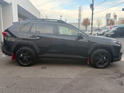 
										TOYOTA RAV4 2025 full									