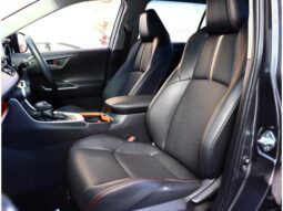 
										TOYOTA RAV4 2021 full									