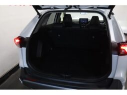 
										TOYOTA RAV4 2024 full									