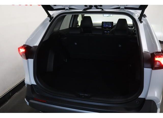 
								TOYOTA RAV4 2024 full									