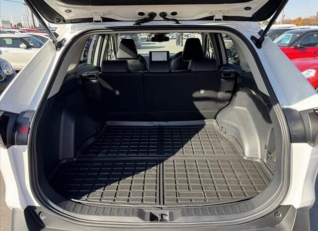 
								TOYOTA RAV4 2024 full									