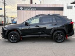 
										TOYOTA RAV4 2025 full									