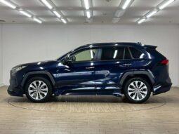 
										TOYOTA RAV4 2019 full									