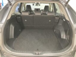 
										TOYOTA RAV4 2021 full									