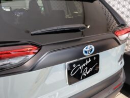 
										TOYOTA RAV4 2024 full									