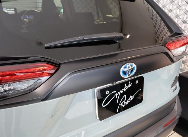 
								TOYOTA RAV4 2024 full									