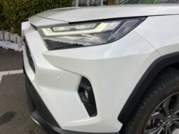 
										TOYOTA RAV4 2024 full									