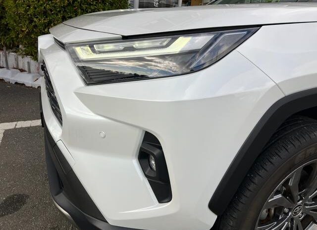 
								TOYOTA RAV4 2024 full									