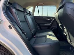 
										TOYOTA RAV4 2024 full									