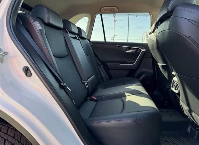 
								TOYOTA RAV4 2024 full									