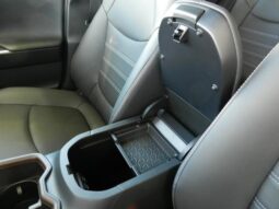 
										TOYOTA RAV4 2025 full									