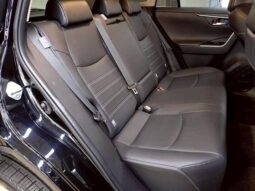 
										TOYOTA RAV4 2019 full									