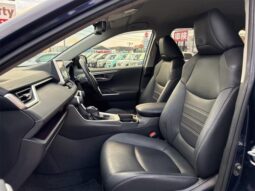 
										TOYOTA RAV4 2019 full									