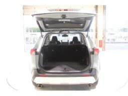 
										TOYOTA RAV4 2022 full									