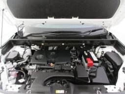 
										TOYOTA RAV4 2023 full									