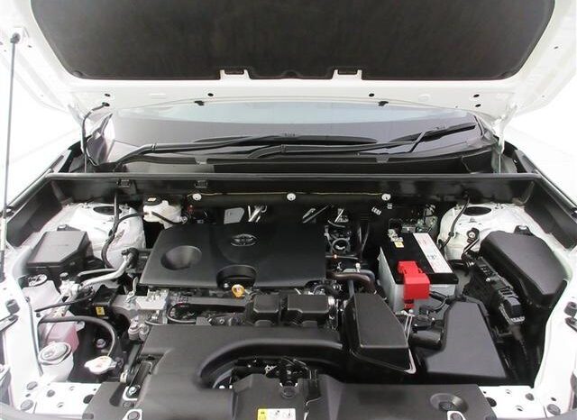 
								TOYOTA RAV4 2023 full									