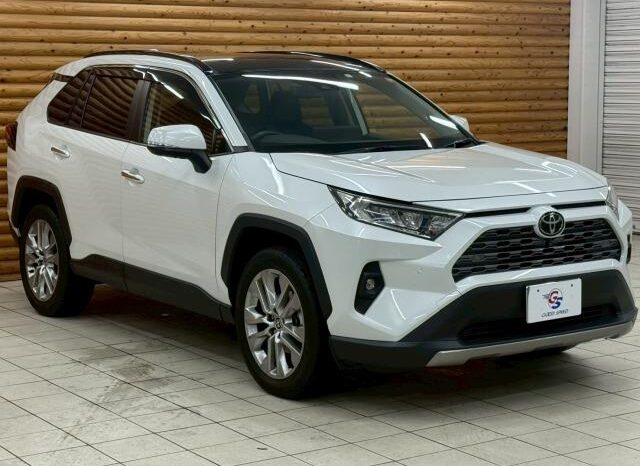 
								TOYOTA RAV4 2023 full									