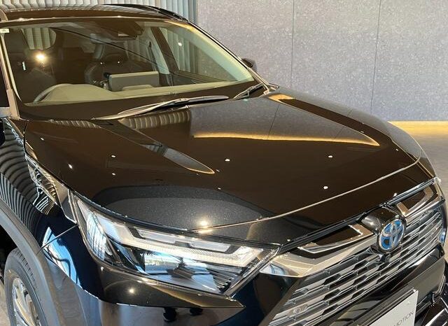 
								TOYOTA RAV4 2024 full									