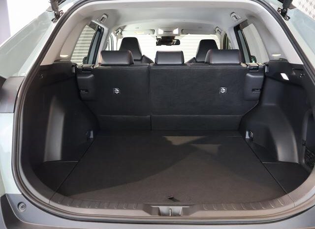 
								TOYOTA RAV4 2024 full									