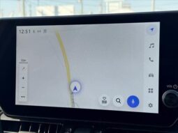 
										TOYOTA RAV4 2024 full									