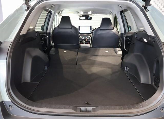 
								TOYOTA RAV4 2024 full									