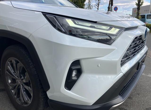 
								TOYOTA RAV4 2024 full									