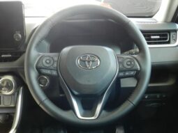 
										TOYOTA RAV4 2025 full									
