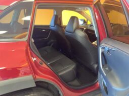 
										TOYOTA RAV4 2021 full									