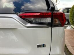 
										TOYOTA RAV4 2024 full									