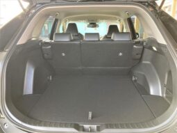 
										TOYOTA RAV4 2025 full									
