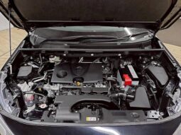 
										TOYOTA RAV4 2019 full									