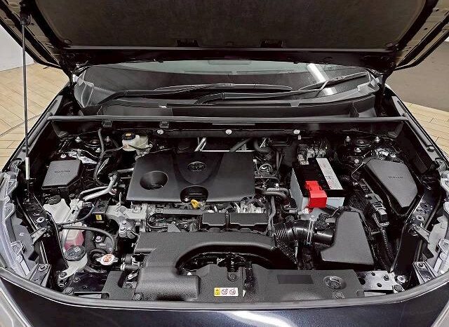 
								TOYOTA RAV4 2019 full									