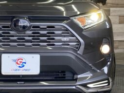 
										TOYOTA RAV4 2019 full									