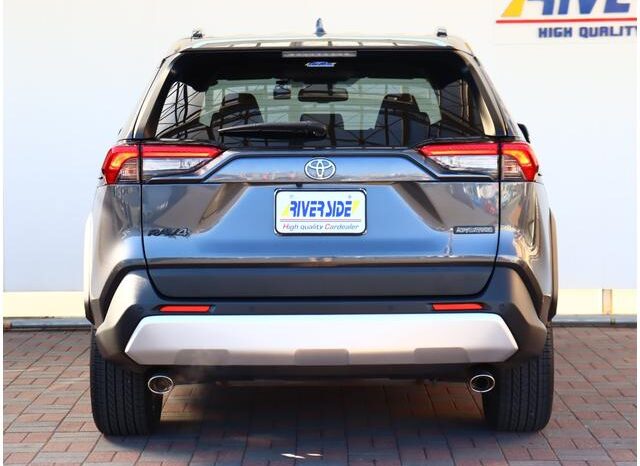 
								TOYOTA RAV4 2021 full									