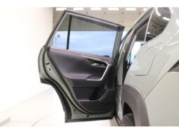 
										TOYOTA RAV4 2022 full									