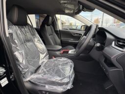 
										TOYOTA RAV4 2025 full									