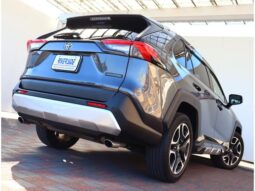 
										TOYOTA RAV4 2021 full									