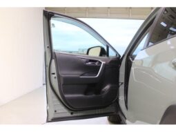 
										TOYOTA RAV4 2022 full									