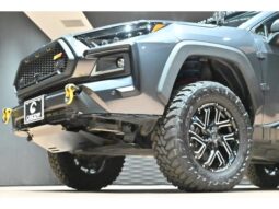 
										TOYOTA RAV4 2023 full									