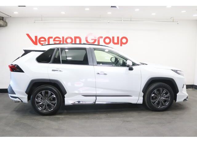 
								TOYOTA RAV4 2024 full									