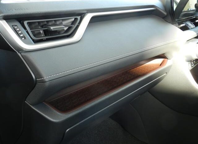 
								TOYOTA RAV4 2025 full									