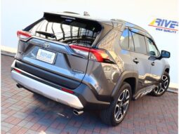 
										TOYOTA RAV4 2021 full									
