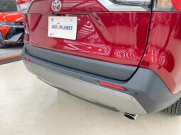 
										TOYOTA RAV4 2021 full									