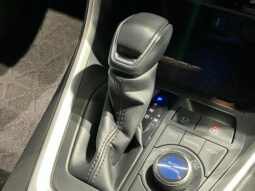 
										TOYOTA RAV4 2021 full									