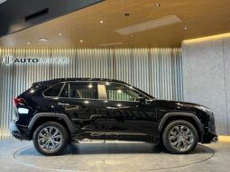 
										TOYOTA RAV4 2024 full									