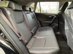 
										TOYOTA RAV4 2025 full									