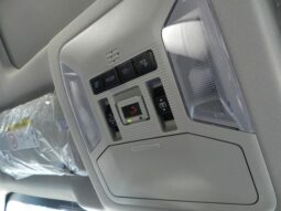 
										TOYOTA RAV4 2025 full									