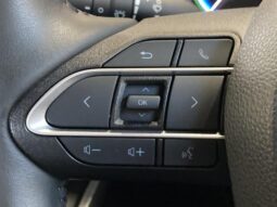 
										TOYOTA NOAH 2023 full									